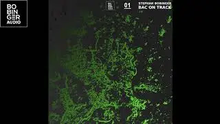 Stephan Bobinger -  Bac On Track