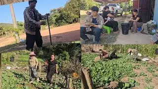 Kuv maib Ua phua ho phauj maiv nthua niam hli cov zaub  2 .1. 2026