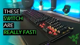 Razer Huntsman Elite (Linear Switches) - 6 Months Later