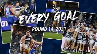 Cats clinch victory in a Friday night heart-stopper