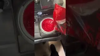Chest Waxing with Sexy Smooth Cherry Desire Hard Wax | Demo by @empressskincareandwaxing