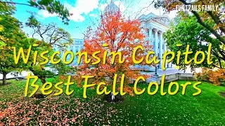 Wisconsin Fall Colors in 4K 🍂 | Stunning Aerial Footage