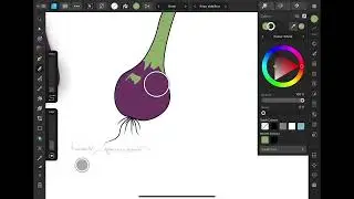 Creating Vector Green Onion Design with Affinity Designer | Step-by-Step Tutorial