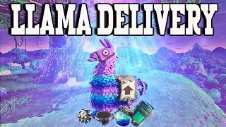 Epic Llama Came In Clutch And Fell On Me! Fortnite Battle Royale Llama Hunt Season 3 - Mr Mineral