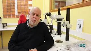 Un estudio documenta las migraciones de los cazadores-recolectores de la Edad del Hielo