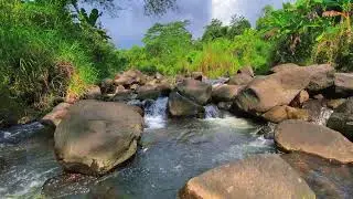 Relaxing Water Flow &ndash; 10 Hours of River ASMR for Stress and Focus Balance
