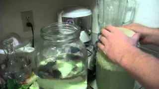 How To Make Cabbage Rejuvelac.by Jordan Blaikie