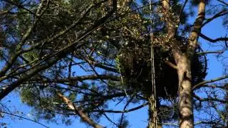 Notre-Dame-des-Landes #NDDL - 