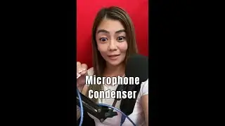 Microphone Condenser for my ESL Class | ESL Teacher Chloe Vee