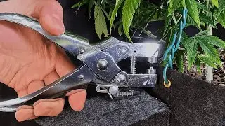 Best 8 dollars spent - Perfect LST Hole Puncher/Grommet for Fabric Pots, Twist Tie Low Stress Train