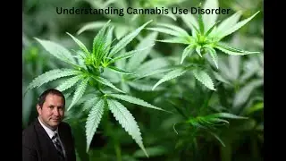 🚬Reefer Madness: 🔥Understanding Cannabis Use Disorder 🤯 with 2023 Updates