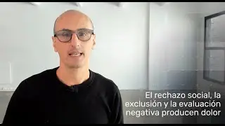 El dolor social duele del mismo modo en que el cuerpo duele.