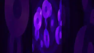 #shorts Wamdue Project - King Of My Castle - Purple Disco Machine #shorts