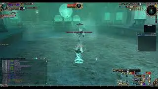 Chronicles of Arcadia (Runes of Magic) Priest/Rogue - solo Betomia (hm) with full heal gear