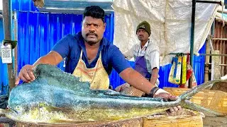 KASIMADU SPEEDSELVAM BIG SIZE MAHI MAHI FISH CUTTING VIDEO #kasimeduselvam #fishcutting 