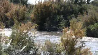 Zamba del rio robado - Marcela Eijo y Federico Camiletti.wmv