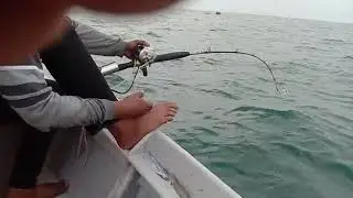 Jerin seastone