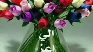 Bouzekri et bnat bassou
