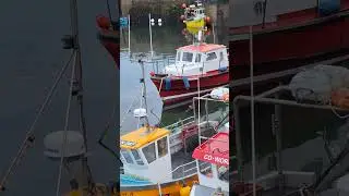 July 2023. Dunbar Harbour and Seagull.