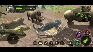 Magic Sands: The Tiger CastleClooP #thetiger #castlecloop