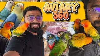 ₹1000 முதல் Hand Feeding and Tamed Birds | Aviary 360 | Delivery Available