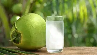 Refreshing Maldives Coconut Water Drink Recipe 🥥🌴 #TropicalSips #MaldivesVibes&rdquo;