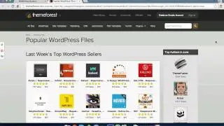 Snippet Preview with WP SEO by Yoast