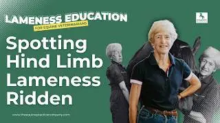 Spotting Hind Limb Lameness Ridden