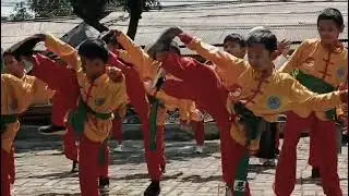 Wushu alkindi