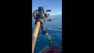 Sonar Return Lake Tahoe Saturday Sep 28 2024 Mysis Shrimp