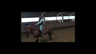 Westernpferd im Kurs mit Desmond O'Brien, Galopp -Pirouetten