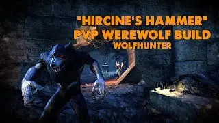 ESO - Hircine's Hammer PVP Werewolf Build - (Wolfhunter)