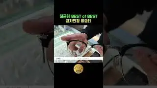 금자안경의 시작, KV34(Entry Model)