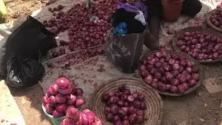 Inside Fadama Agricultural Project Gwagwalada Abuja, Nigeria
