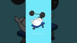 Sappy Seals - Gym Motivation