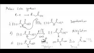 malonic ester synthesis