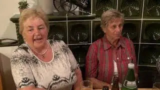 Musikantenstammtisch  in  der  Wolf`s  Schenke  am  7.6.2019  -  3. Teil.