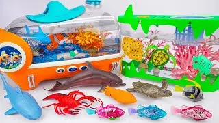 [🐟toy asmr🐠] Zuru Robo Fish ＆ Sea Animal Toys ＆ Fish Tank Playset ASMR ⭐ Satisfying with Unboxing