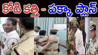 కోడి కత్తి పక్క ప్లాన్||Jagan Kodi Kathi Drama Latest News||Politician News||Snicky TV