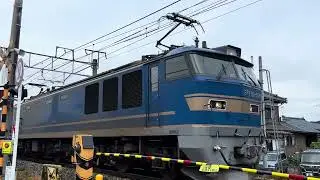 新潟県近郊のコンテナ列車　高速貨物B                      4075レ 百済(タ)〜東青森