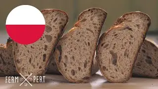 [PL] Eksperyment: formowanie ciasta na chleb