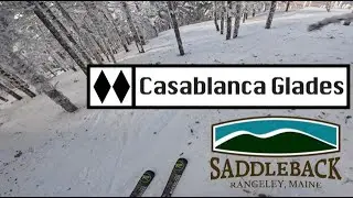 Casablanca Glades - Saddleback