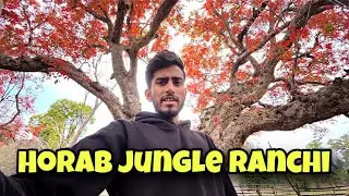 Exploring Horab Jungle Ranchi | SP LIFE