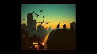 Taubensong Pigeons in the city