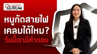 หนูกัดสายไฟ เคลมได้ไหม l  K.INSURANCE GURU