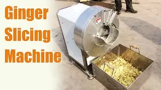 Perfect Ginger Slices & Shredded Ginger | Get Your Ginger Slicing Machine Here!