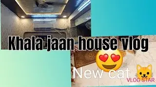 khala Jaan house vlog😊|Day vlog 5| introduce new cat🐱🐈|#dayvlog #allrounder123