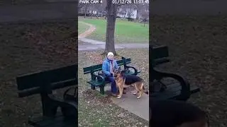 HERO German Shepherd Saves Grandma Seconds Before Disaster!