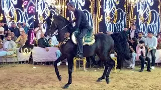 رقص خيل مدرسه الادب المعلم مدحت البيطار وجديد في جديد حفله خالد بر طنطا2025
