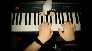 Pink Floyd - Wish You We're Here #piano #cover #pinkployd #vibraphone #wish #lilibondar 
